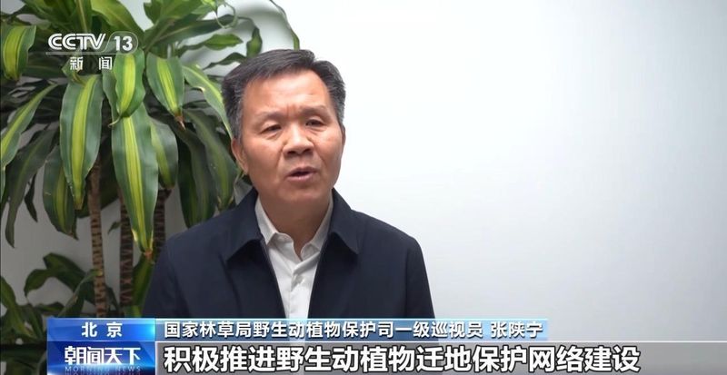 特别“家庭旅行团”亮相 我国野生动植物保护交出亮眼答卷 新闻