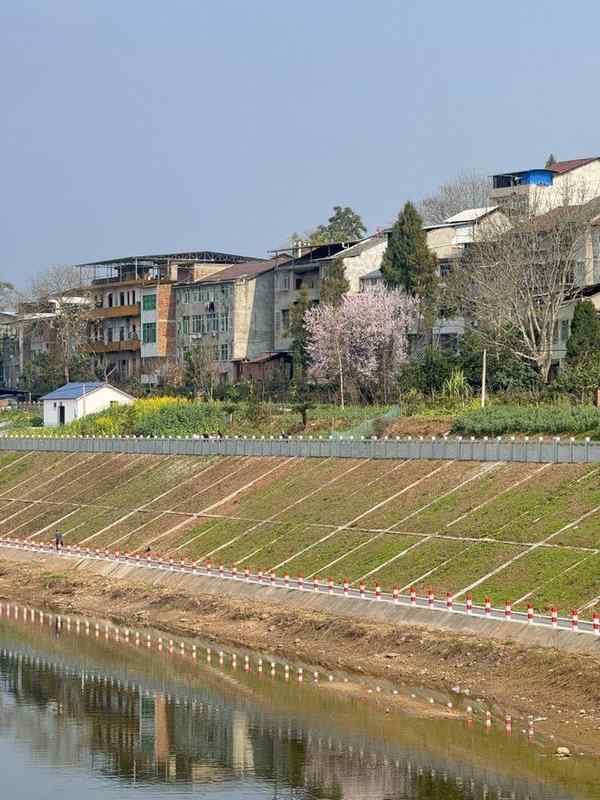  大家族里过年，一位年轻人的“两宗罪”｜记者过年 新闻 大家族里过年，一位年轻人的“两宗罪”｜记者过年 新闻