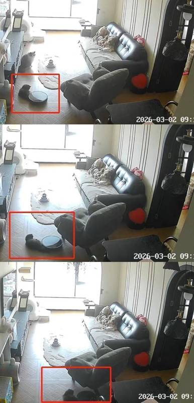 宠物尾巴意外卷入,扫地机器人避障引争议;智能家居安全隐患再现 IT技术