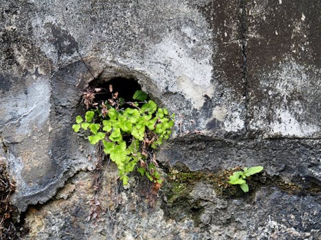 消费电子趋稳,新能源放量,人形机器人爆发,长盈精密转型之路渐显成效。 股票财经
