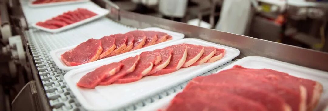 经营韧性揭秘:数字化转型如何助力企业实现稳健增长与高额分红 企业服务