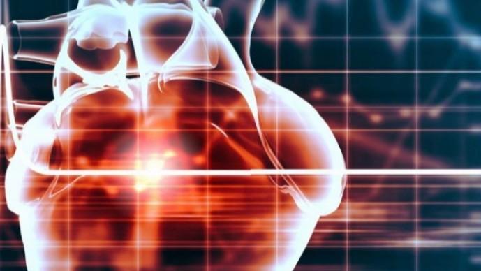  数万案例复盘：从心源性猝死机制透视预防逻辑 新闻 数万案例复盘：从心源性猝死机制透视预防逻辑 新闻 数万案例复盘：从心源性猝死机制透视预防逻辑 新闻