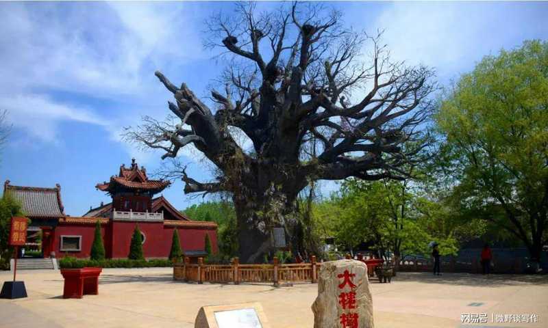  小趾双甲：一个遗传特征的基因密码与民族记忆溯源 文化旅游