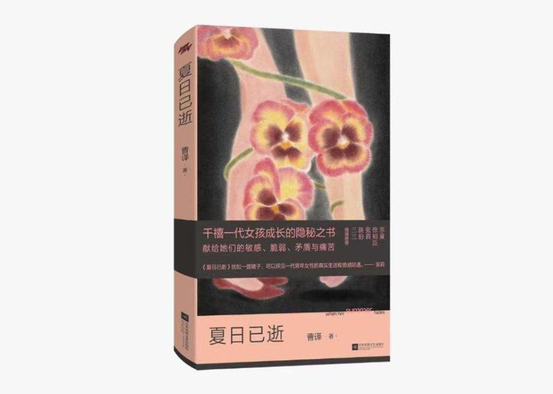 那些被我们忽略的温柔，其实一直都在