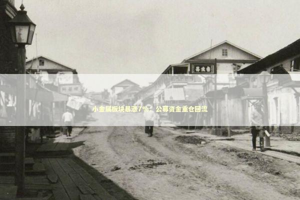 小金属板块暴涨7%：公募资金重仓回流