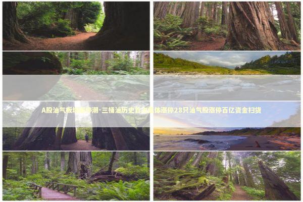 A股油气板块涨停潮-三桶油历史首次集体涨停28只油气股涨停百亿资金扫货 A股油气板块涨停潮-三桶油历史首次集体涨停28只油气股涨停百亿资金扫货 新闻