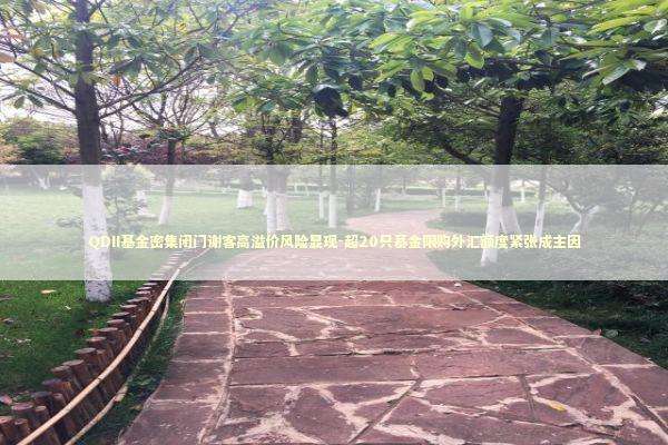 QDII基金密集闭门谢客高溢价风险显现-超20只基金限购外汇额度紧张成主因 新闻