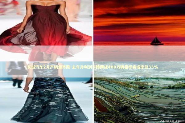 长城汽车2月产销量齐跌-去年净利润下降两成400万辆目标完成率仅33% 新闻