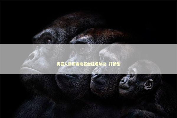 机器人霸屏春晚基金经理热议_抒情型 新闻