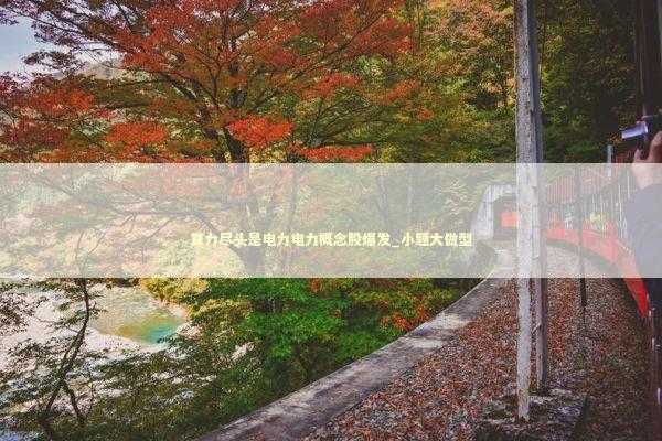 算力尽头是电力电力概念股爆发_小题大做型