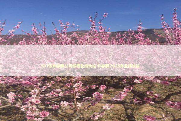 597家科创板公司披露业绩快报-科创板2025年业绩快报