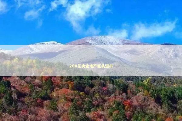 200亿央企地产巨头退市 新闻