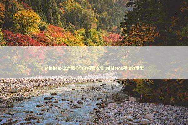 MiniMax上市后首份年报营收增-MiniMax平淡叙事型 MiniMax上市后首份年报营收增-MiniMax平淡叙事型 新闻