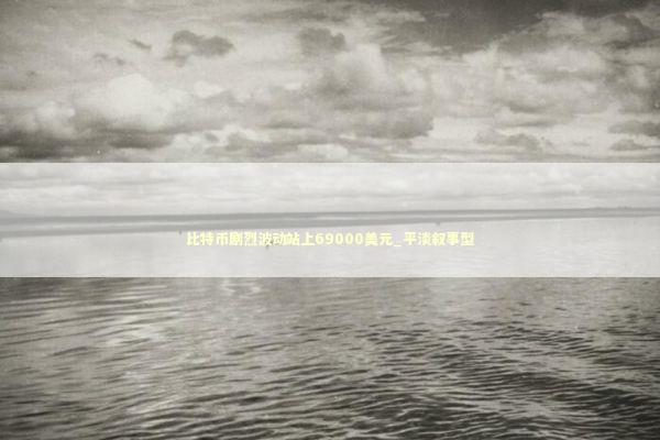比特币剧烈波动站上69000美元_平淡叙事型
