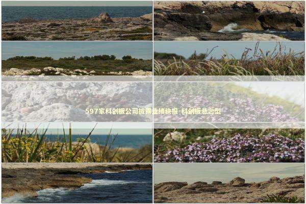 597家科创板公司披露业绩快报-科创板悬念型 新闻