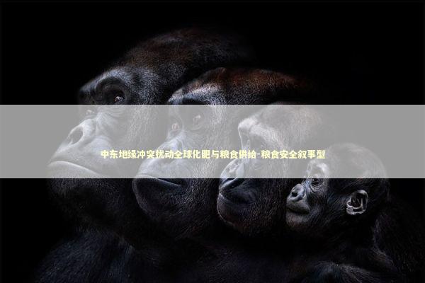中东地缘冲突扰动全球化肥与粮食供给-粮食安全叙事型