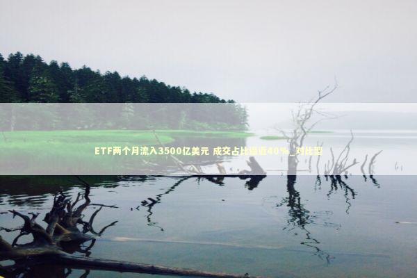 ETF两个月流入3500亿美元 成交占比逼近40%_对比型 新闻