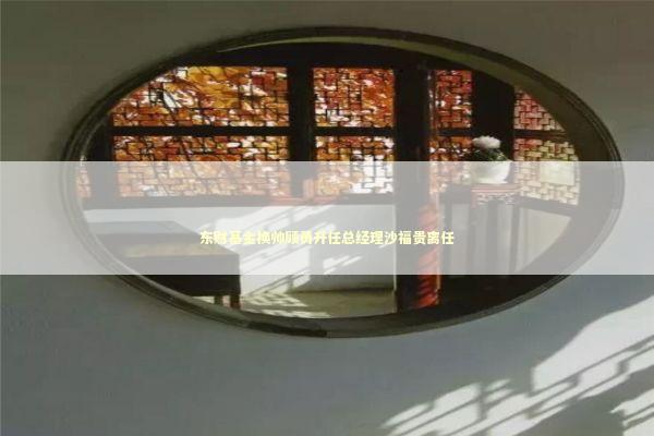 东财基金换帅顾勇升任总经理沙福贵离任 新闻