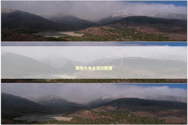 新势力车企交付数据 新闻