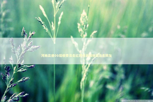 河南高速00后收费员走红网络真诚微笑治愈网友 河南高速00后收费员走红网络真诚微笑治愈网友 新闻