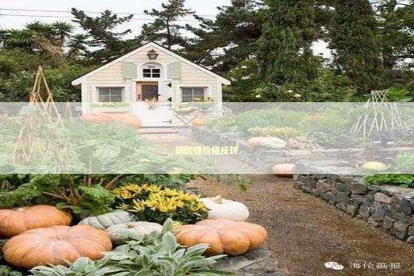 碳酸锂价格反转 碳酸锂价格反转 新闻