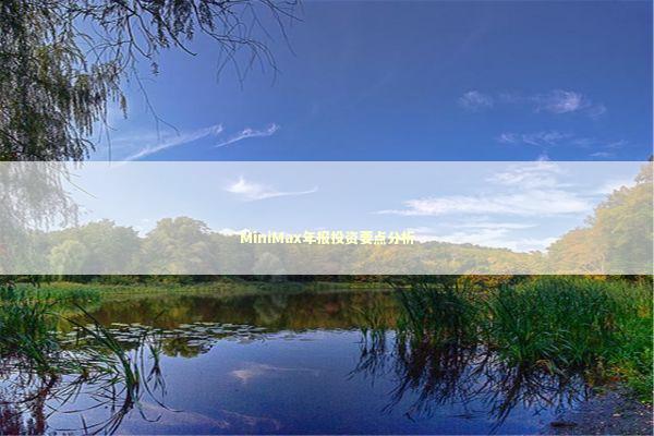 MiniMax年报投资要点分析 新闻