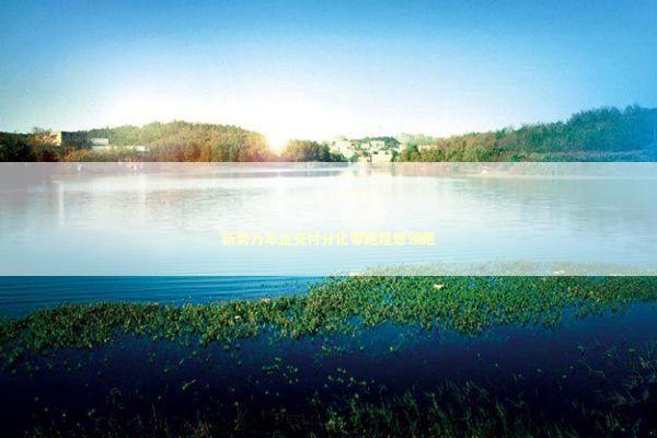 新势力车企交付分化零跑理想领跑 新势力车企交付分化零跑理想领跑 新闻