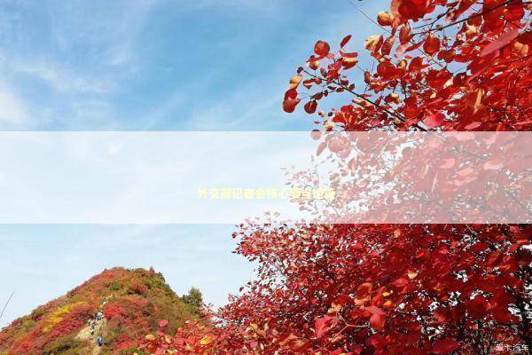 外交部记者会核心要点速览 外交部记者会核心要点速览 新闻