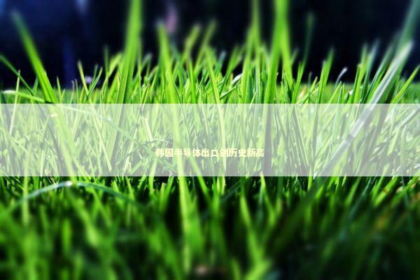 韩国半导体出口创历史新高 新闻