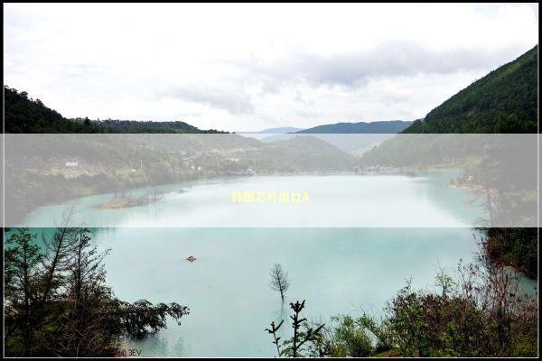 韩国芯片出口A 新闻