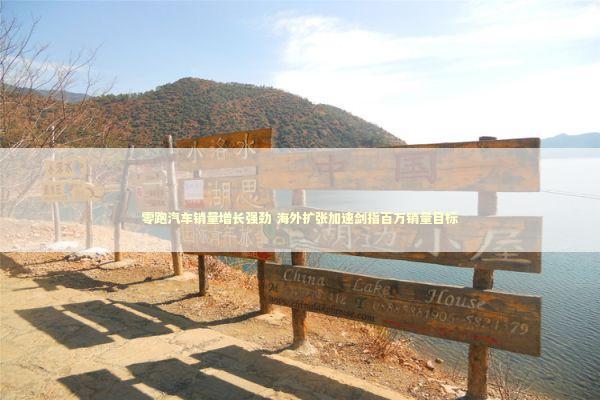 零跑汽车销量增长强劲 海外扩张加速剑指百万销量目标 新闻