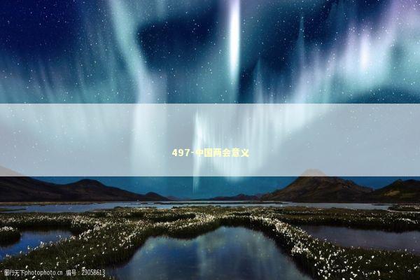 497-中国两会意义 新闻