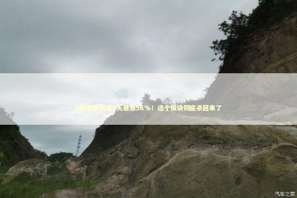 A股最牛赛道3天暴涨56%！这个板块彻底杀回来了 新闻