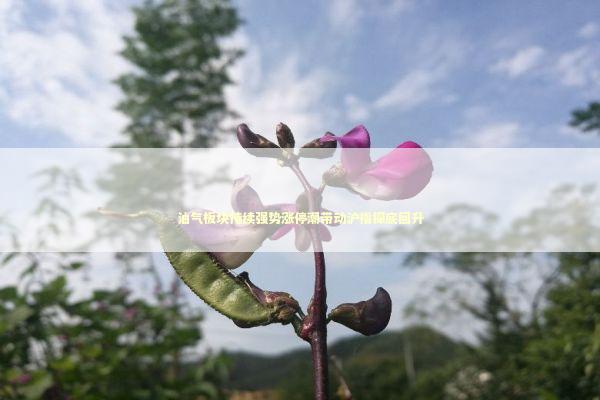 油气板块持续强势涨停潮带动沪指探底回升 新闻