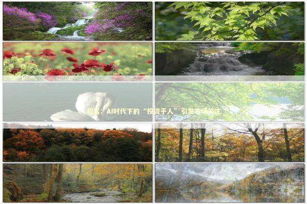 程实:AI时代下的“投资于人”引发市场关注 程实:AI时代下的“投资于人”引发市场关注 新闻