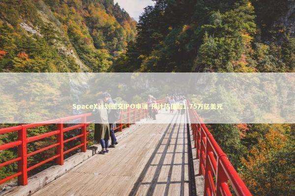SpaceX计划递交IPO申请-预计估值超1.75万亿美元 SpaceX计划递交IPO申请-预计估值超1.75万亿美元 新闻