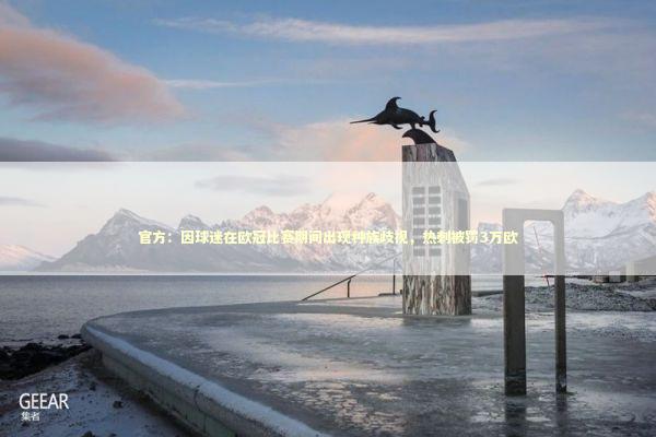 官方：因球迷在欧冠比赛期间出现种族歧视，热刺被罚3万欧 新闻