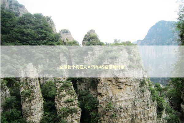 全球首个机器人×汽车4S店落地北京 全球首个机器人×汽车4S店落地北京 新闻