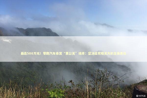 最高500万元！零跑汽车悬赏“黑公关”线索：坚决追究相关方的主体责任