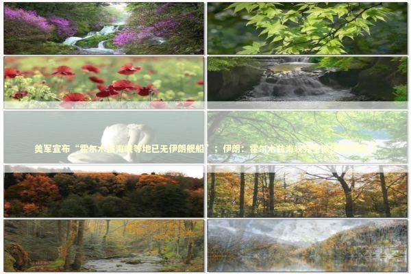 美军宣布“霍尔木兹海峡等地已无伊朗舰船”；伊朗：霍尔木兹海峡完全被伊朗控制_5