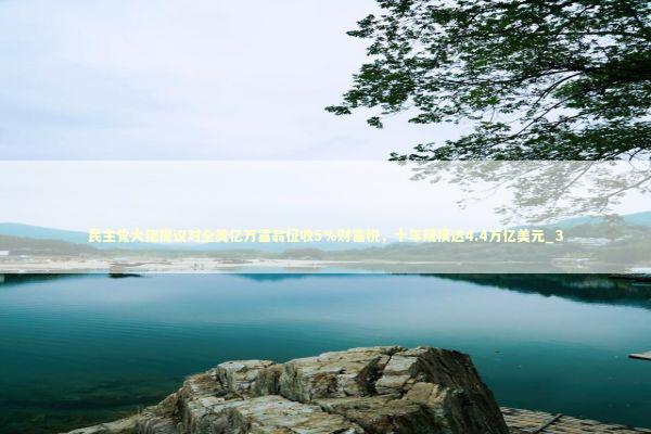 民主党大佬提议对全美亿万富翁征收5%财富税，十年规模达4.4万亿美元_3