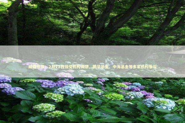 威胜信息:2月28日接受机构调研,鹏华基金、中海基金等多家机构参与 威胜信息:2月28日接受机构调研,鹏华基金、中海基金等多家机构参与 新闻