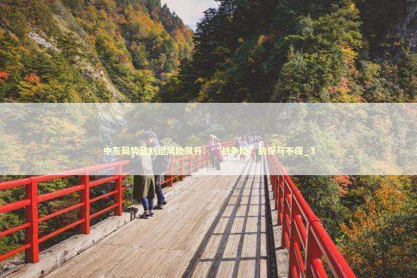 中东局势致航运风险飙升:“战争险”的保与不保_3 中东局势致航运风险飙升:“战争险”的保与不保_3 新闻