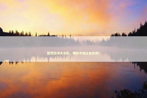 默茨访华大合影，哪些中德企业出镜？