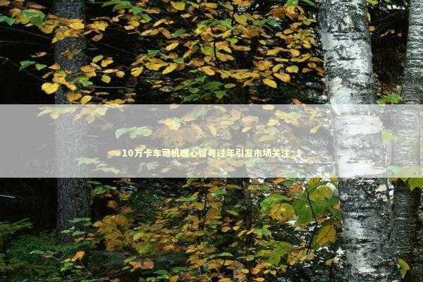 10万卡车司机暖心留粤过年引发市场关注_1 新闻