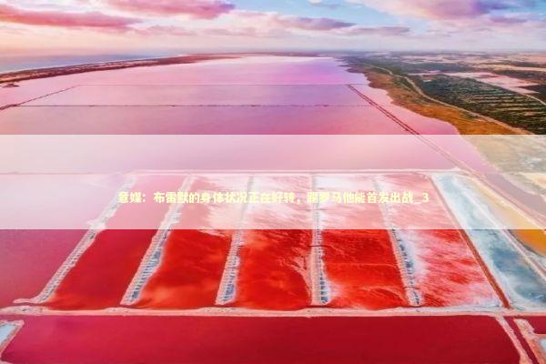 意媒:布雷默的身体状况正在好转,踢罗马他能首发出战_3 意媒:布雷默的身体状况正在好转,踢罗马他能首发出战_3 新闻