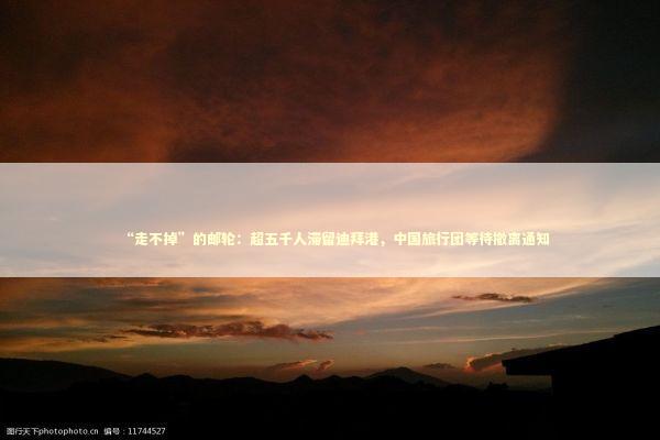 “走不掉”的邮轮：超五千人滞留迪拜港，中国旅行团等待撤离通知 新闻