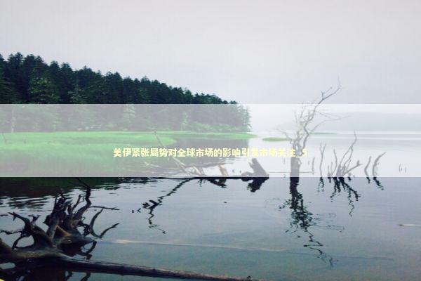 美伊紧张局势对全球市场的影响引发市场关注_5 新闻