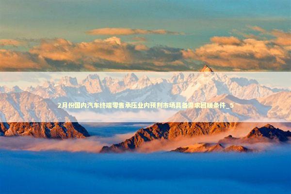 2月份国内汽车终端零售承压业内预判市场具备需求回暖条件_5