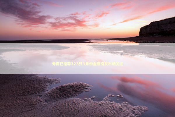 券商已推荐323只3月份金股引发市场关注 券商已推荐323只3月份金股引发市场关注 新闻